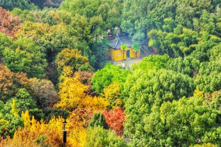 苏州天池山风景区游玩攻略-门票价格-景点信息