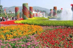 东南花都花博园附近景点