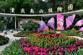 重庆南山植物园门票多少钱一张2024