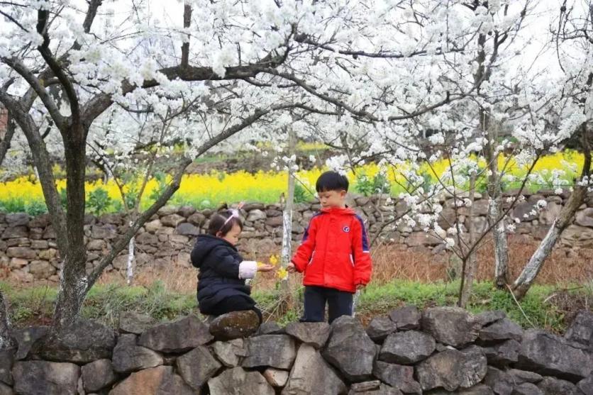 广元市利州区春日赏花好去处推荐2023