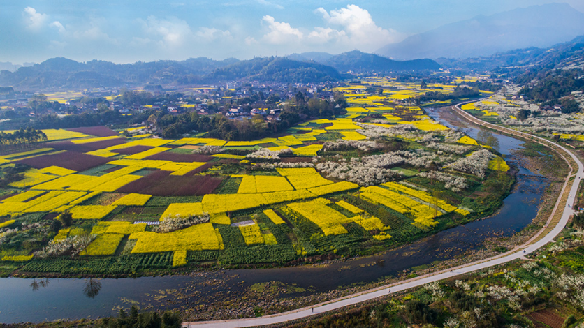 樂山市早春賞花路線推薦2023