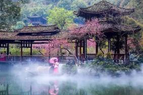 2023常德桃花源门票优惠政策