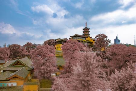 南京古鸡鸣寺游玩攻略-门票价格-景点信息