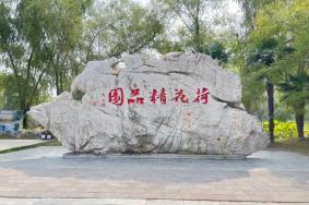 滕州微山湖红荷湿地电话多少