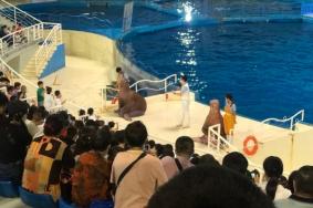 泉城海洋极地世界表演时间