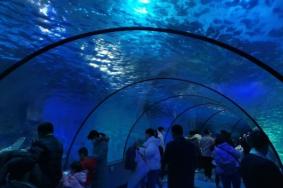 泉城海洋极地世界营业时间