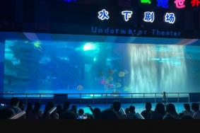 泉城海洋极地世界周边景点