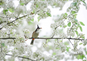 星湖风景区有哪些适合情侣约会的地方？这些景点必须打卡哦