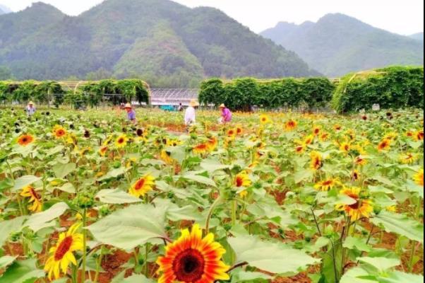 北京京郊游推荐哪最好