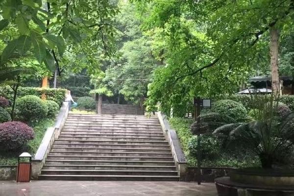 重慶免費的寶藏公園有哪些地方