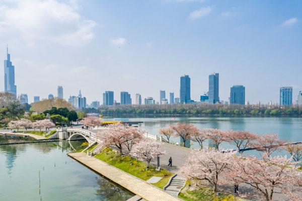 南京春游去哪里好 最好玩的春游好去處