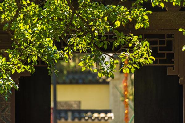 惠山古镇一日游攻略 附游玩路线