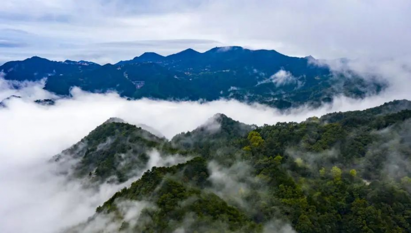 江西最值得踏青的景區推薦