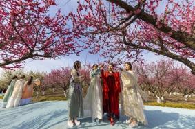 洪泽湖梅花节什么时候开始？什么时候结束？