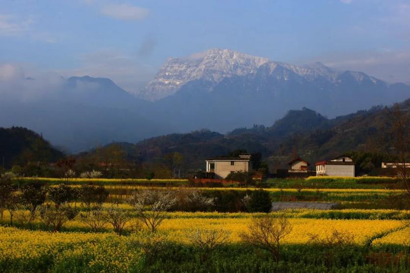 峨眉山市有哪些賞花的好地方？這份春季限定賞花地圖來了