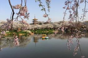 东湖赏花联票可以游玩哪些景点2023