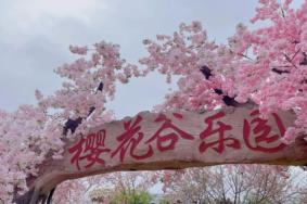 2023杭州樱花园最新开放时间