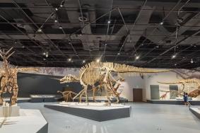 成都自然博物馆几点开放预约2023