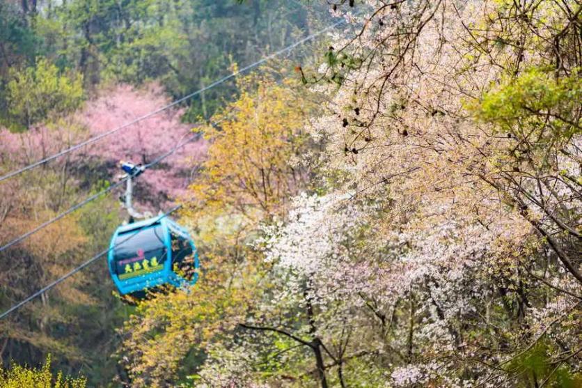 2023年春天的木兰天池怎么游玩？这份赏花游园、森野露营、亲子游乐别错过