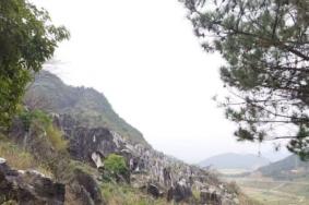 贺州玉石林在哪里