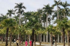 南宁南湖公园在哪里 具体位置