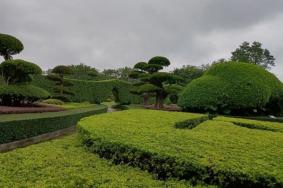南湖公园附近景点推荐