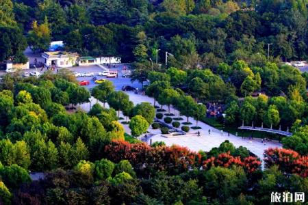 2022云龙山风景区门票价格 - 交通 - 主要景点