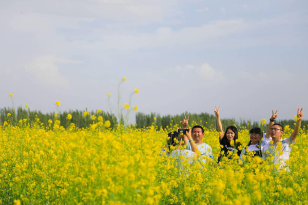 博斯騰湖賞花指南2023 附花類品種、最佳觀賞時間、地點