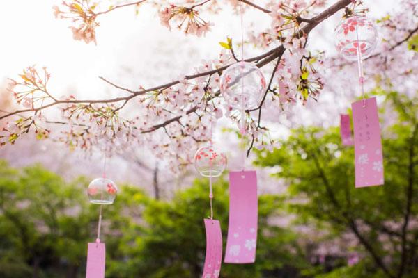 无锡樱花谷旅游攻略 附一日游最佳路线