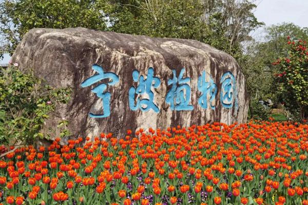 宁波植物园最佳观赏时间 赏花时间指南