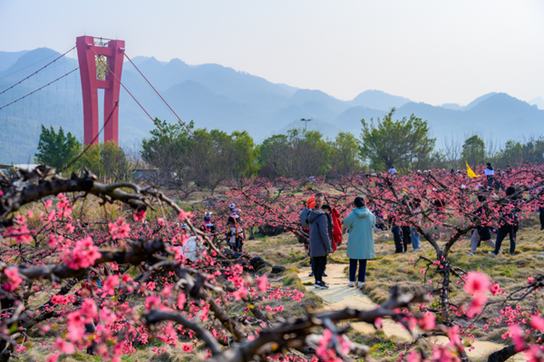 2023连州市桃花节是什么时候？在什么地方？