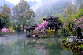 2023重庆酉阳桃花源桃花什么时候开 最佳旅游时间