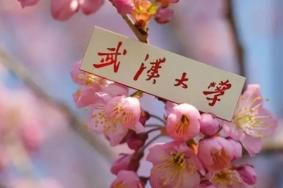 武汉大学现在能进去参观吗2023