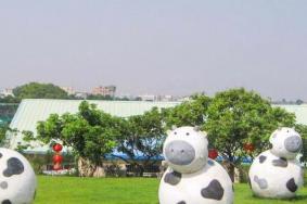 长沙光明大观园门票价格2023