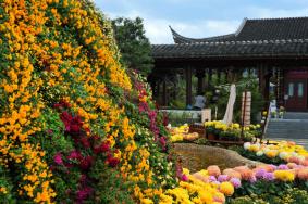 宁波植物园一日游攻略 附春季赏花指南