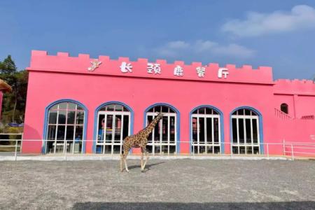 长沙动趣王国游玩攻略-门票价格-景点信息