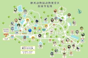 2024柳州动物园游玩攻略-门票价格-景点信息