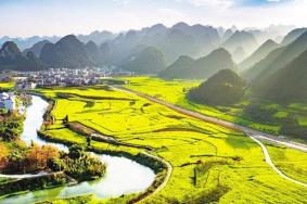 兴义油菜花最佳时间2023