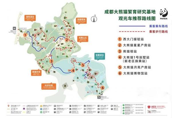 成都大熊貓繁育研究基地游玩最佳路線