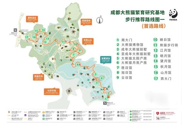 成都大熊貓繁育研究基地游玩最佳路線