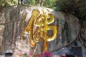 普陀寺和南普陀寺区别