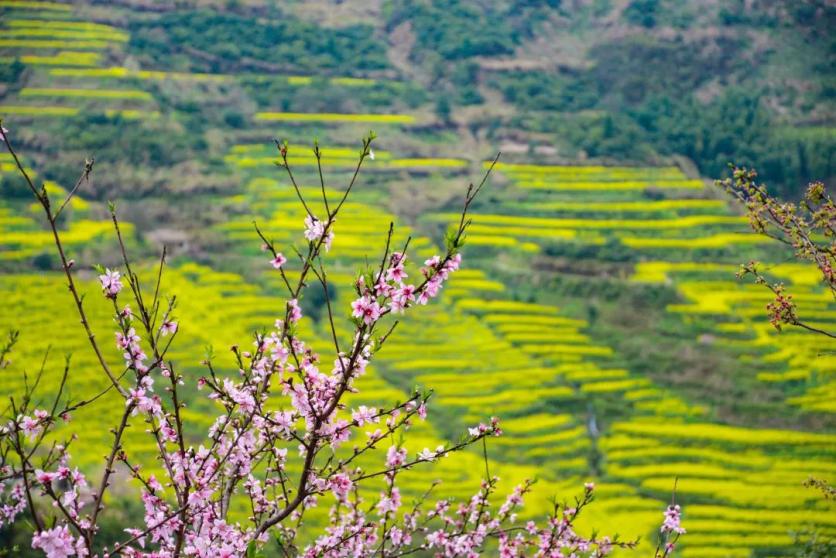 2023中国篁岭第六届花朝生活节详情 附时间、特色玩法