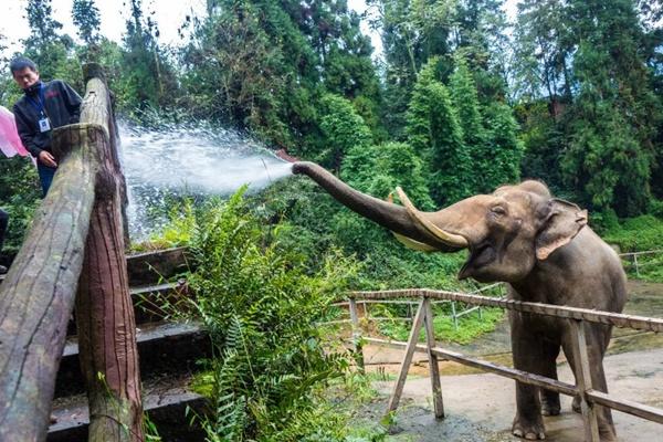 碧峰峽野生動物世界游玩攻略 附必打卡地點