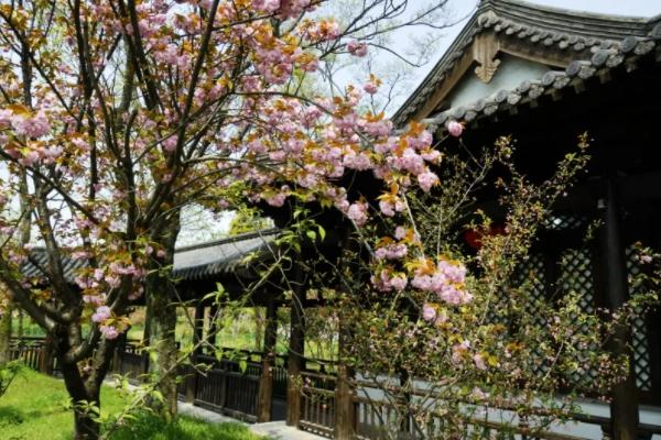 扬州春季赏花公园有哪些