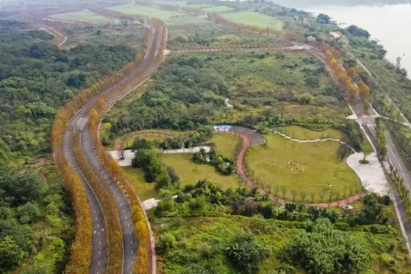 广阳岛观光车路线