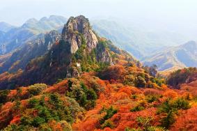 2023平顶山尧山风景区3月8日女神节门票活动