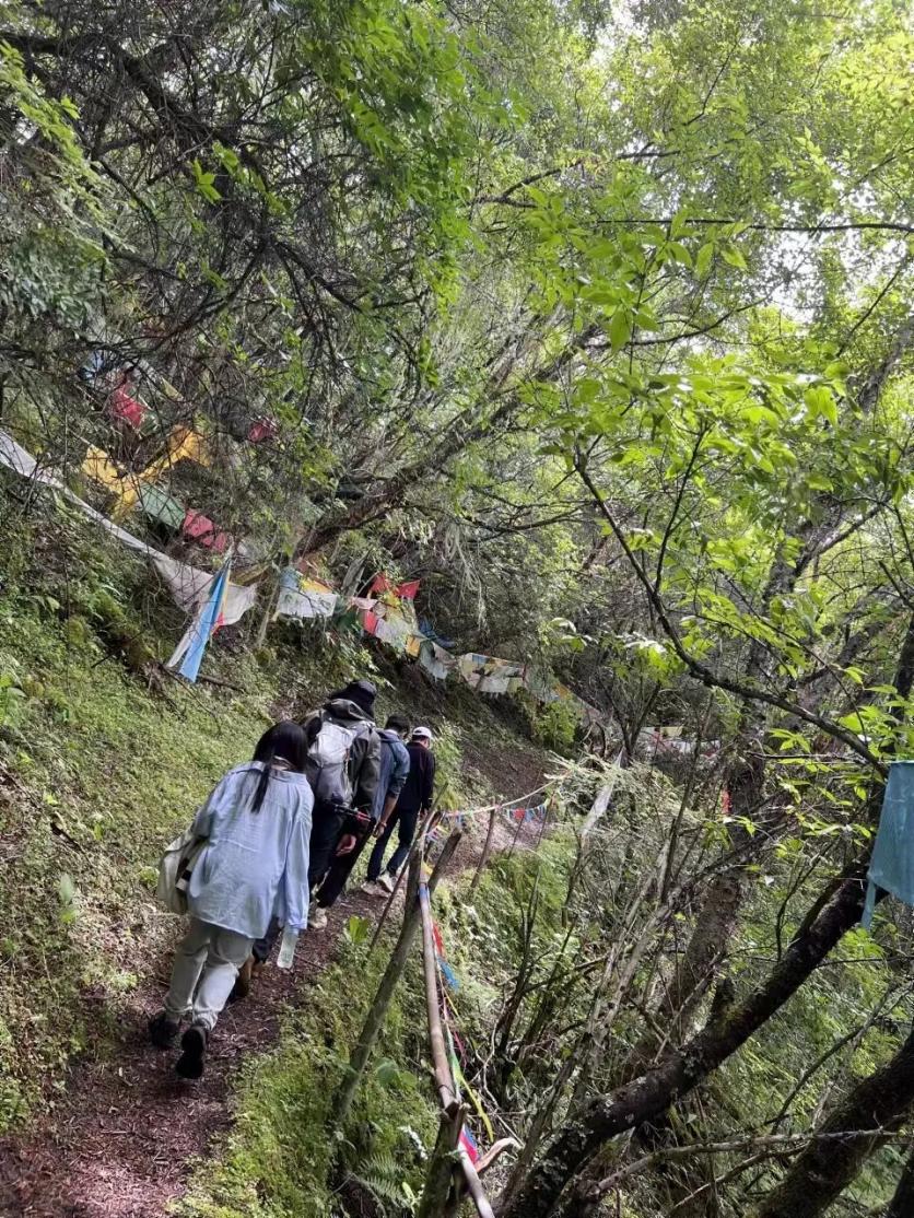 春季的雅鲁藏布大峡谷应该怎么玩？这份赏花、自驾、雪山、徒步等攻略记得收藏