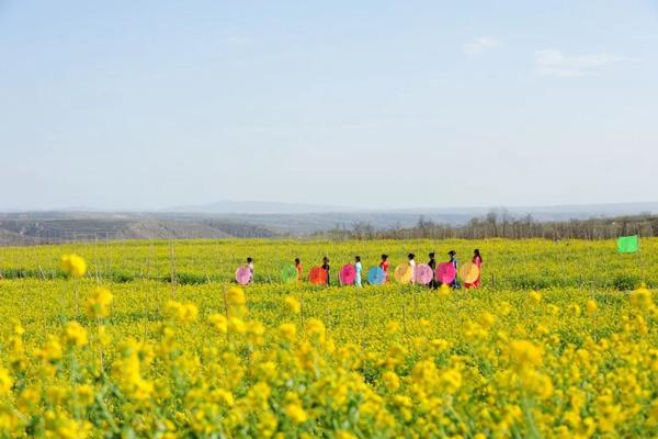 2023年春季咸阳赏花指南 附赏花路线