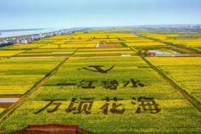 2023湖南油菜花节举办时间及活动安排