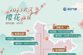 武汉樱花什么时候开2023 这份武汉樱花预报请收好